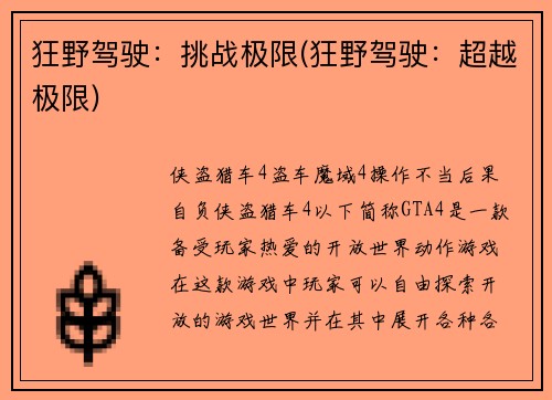 狂野驾驶：挑战极限(狂野驾驶：超越极限)